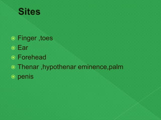  Finger ,toes
 Ear
 Forehead
 Thenar ,hypothenar eminence,palm
 penis
 