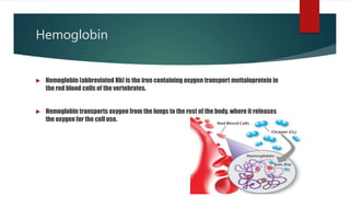 Hemoglobin
 Hemoglobin (abbreviated Hb) is the iron containing oxygen transport mettaloprotein in
the red blood cells of the vertebrates.
 Hemoglobin transports oxygen from the lungs to the rest of the body, where it releases
the oxygen for the cell use.
 