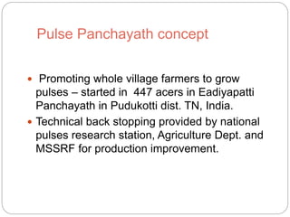 Pulse Panchayath concept
Promoting whole village farmers to grow
pulses – started in 447 acers in Eadiyapatti
Panchayath in Pudukotti dist. TN, India.
Technical back stopping provided by national
pulses research station, Agriculture Dept. and
MSSRF for production improvement.