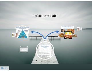 Pulse Rate Presentation