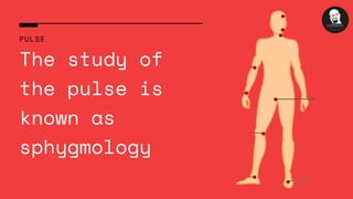 PULSE
The study of
the pulse is
known as
sphygmology
 