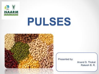 PULSES
Presented by:
Anand S. Thokal
Rakesh B. R.
 