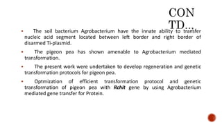  The soil bacterium Agrobacterium have the innate ability to transfer
nucleic acid segment located between left border and right border of
disarmed Ti-plasmid.
 The pigeon pea has shown amenable to Agrobacterium mediated
transformation.
 The present work were undertaken to develop regeneration and genetic
transformation protocols for pigeon pea.
 Optmization of efficient transformation protocol and genetic
transformation of pigeon pea with Rchit gene by using Agrobacterium
mediated gene transfer for Protein.
 