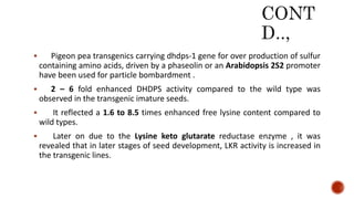  Pigeon pea transgenics carrying dhdps-1 gene for over production of sulfur
containing amino acids, driven by a phaseolin or an Arabidopsis 2S2 promoter
have been used for particle bombardment .
 2 – 6 fold enhanced DHDPS activity compared to the wild type was
observed in the transgenic imature seeds.
 It reflected a 1.6 to 8.5 times enhanced free lysine content compared to
wild types.
 Later on due to the Lysine keto glutarate reductase enzyme , it was
revealed that in later stages of seed development, LKR activity is increased in
the transgenic lines.
 