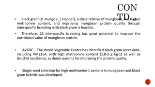  Black gram (V. mungo (L.) Hepper), a close relative of mungbean, has higher
methionine content, and improving mungbean protein quality through
interspecific breeding with black gram is feasible.
 Therefore, 22 interspecific breeding has great potential to improve the
nutritional value of mungbean protein.
 AVRDC – The World Vegetable Center has identified black gram accessions,
including VM2164, with high methionine content (1.8-2 g kg-1) as well as
bruchid resistance, as donor parents for improving the protein quality.
 Single seed selection for high methionine 1 content in mungbean and black
gram hybrids was developed.
 