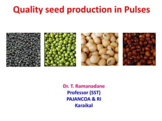 Quality seed production in Pulses
Dr. T. Ramanadane
Professor (SST)
PAJANCOA & RI
Karaikal
 