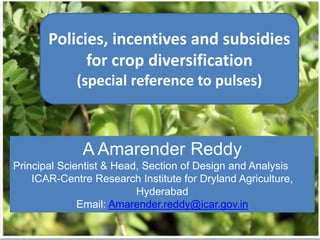 Policies, incentives and subsidies
for crop diversification
(special reference to pulses)
A Amarender Reddy
Principal Scientist & Head, Section of Design and Analysis
ICAR-Centre Research Institute for Dryland Agriculture,
Hyderabad
Email: Amarender.reddy@icar.gov.in
 