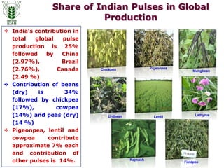 Pulses r and d in india dr. s k datta | PPTX