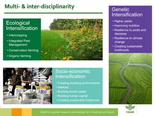 2016 International Conference on Pulses – Concluding remarks