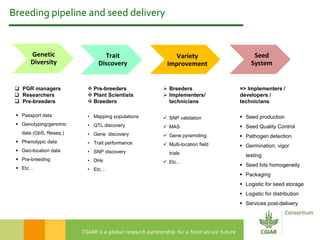 2016 International Conference on Pulses – Concluding remarks