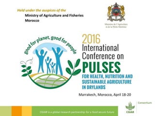 2016 International Conference on Pulses – Concluding remarks