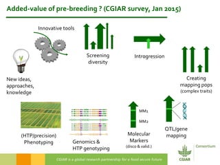 2016 International Conference on Pulses – Concluding remarks