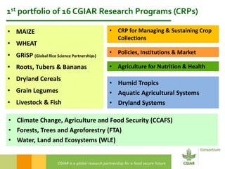 2016 International Conference on Pulses – Concluding remarks