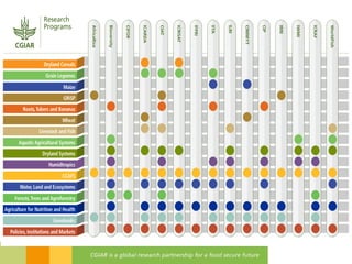 2016 International Conference on Pulses – Concluding remarks