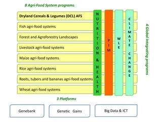 2016 International Conference on Pulses – Concluding remarks