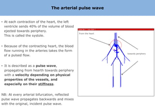 The arterial pulse wave


• At each contraction of the heart, the left
  ventricle sends 40% of the volume of blood
  ejected towards periphery.
                                                From the heart
  This is called the systole.


• Because of the contracting heart, the blood
  flow running in the arteries takes the form
                                                                 towards periphery
  of a pulsed flow.


• It is described as a pulse wave,
  propagating from hearth towards periphery
  with a velocity depending on physical
  properties of the vessels, and
  especially on their stiffness.


NB: At every arterial bifurcation, reflected
pulse wave propagates backwards and mixes
with the original, incident pulse wave.
 