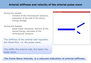 Arterial stiffness and velocity of the arterial pulse wave


During the systole:
         increase of the intravascular pressure,
         expansion of the wall of the artery,
         energy storage.


During the diastole:
         basal shape recovered, delivery of the
         stored energy, decrease of the
         intravascular pressure.


The stiffness of the arterial wall regulates
the blood flow, i.e. the pulse wave.


The stiffer the arterial wall, the faster the
pulse wave.


The Pulse Wave Velocity is a relevant indication of arterial stiffness.
 