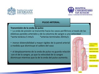 PULSO ARTERIAL.
Transmisión de la onda de pulso
• La onda de presión se transmite hacia los vasos periféricos a través de las
elásticas paredes arteriales y de la columna de sangre a una velocidad
*aorta torácica 5 mts/s *arterias terminales 20mts/s
• menor distensibilidad y mayor rigidez de la pared arterial
a medida que disminuye el calibre del vaso
• el desplazamiento de la onda de pulso no guarda relación
con el de la sangre, ya que la velocidad de la sangre
disminuye mientras que la de la onda del pulso aumenta.
 