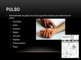 Pulso Triangular Pulso | PPTX