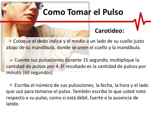 El Pulso El Pulso