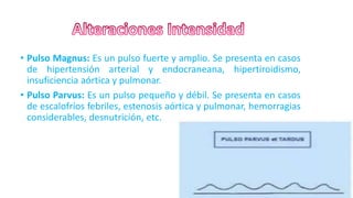 • Pulso Magnus: Es un pulso fuerte y amplio. Se presenta en casos
de hipertensión arterial y endocraneana, hipertiroidismo,
insuficiencia aórtica y pulmonar.
• Pulso Parvus: Es un pulso pequeño y débil. Se presenta en casos
de escalofríos febriles, estenosis aórtica y pulmonar, hemorragias
considerables, desnutrición, etc.
12
 