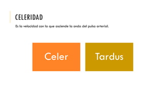 CELERIDAD
Es la velocidad con la que asciende la onda del pulso arterial.
Celer Tardus
 