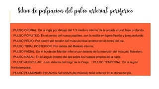 PULSO CRURAL: En la ingle por debajo del 1/3 medio o interno de la arcada crural, bien profundo.
PULSO POPLITEO: En el centro del hueco poplíteo, con la rodilla en ligera flexión y bien profundo.
PULSO PEDIO: Por dentro del tendón del músculo tibial anterior en el dorso del pie.
PULSO TIBIAL POSTERIOR: Por detrás del Maléolo interno.
PULSO FACIAL: En el borde del Maxilar inferior por delante de la inserción del músculo Masetero.
PULSO NASAL: En el ángulo interno del ojo sobre los huesos propios de la nariz.
PULSO AURICULAR: Justo delante del trago de la Oreja.. PULSO TEMPORAL: En la región
frontotemporal.
PULSO PULMONAR: Por dentro del tendón del músculo tibial anterior en el dorso del pie.
 