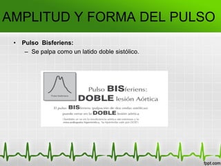 AMPLITUD Y FORMA DEL PULSO
• Pulso Bisferiens:
– Se palpa como un latido doble sistólico.
 