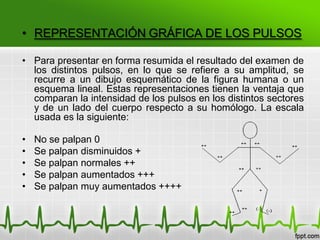 • REPRESENTACIÓN GRÁFICA DE LOS PULSOS
• Para presentar en forma resumida el resultado del examen de
los distintos pulsos, en lo que se refiere a su amplitud, se
recurre a un dibujo esquemático de la figura humana o un
esquema lineal. Estas representaciones tienen la ventaja que
comparan la intensidad de los pulsos en los distintos sectores
y de un lado del cuerpo respecto a su homólogo. La escala
usada es la siguiente:
• No se palpan 0
• Se palpan disminuidos +
• Se palpan normales ++
• Se palpan aumentados +++
• Se palpan muy aumentados ++++
 