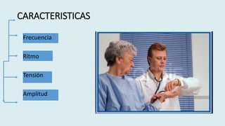 CARACTERISTICAS
Frecuencia
Ritmo
Tensión
Amplitud
 