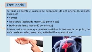 Frecuencia
Se tiene en cuenta el numero de pulsaciones de una arteria por minuto.
Puede ser
• Normal
• Taquicardia (acelerada mayor 100 por minuto)
• Bradicardia (lento menor 60 por minuto)
Existen varios factores que pueden modificar la frecuencia del pulso, las
enfermedades, edad, sexo, talla, actividad física y emocional
 