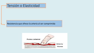 Tensión o Elasticidad
Resistencia que ofrece la arteria al ser comprimida
 