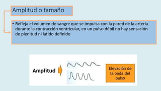 Amplitud o tamaño
• Refleja el volumen de sangre que se impulsa con la pared de la arteria
durante la contracción ventricular, en un pulso débil no hay sensación
de plenitud ni latido definido
 