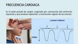FRECUENCIA CARDIACA
Es la onda pulsatil de sangre, originada por contracción del ventrículo
izquierdo y que produce expansión y contracción regular de las arterias
 