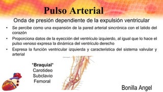Pulso Arterial
• Se percibe como una expansión de la pared arterial sincrónica con el latido del
corazón
• Proporciona datos de la eyección del ventrículo izquierdo, al igual que lo hace el
pulso venoso expresa la dinámica del ventrículo derecho
• Expresa la función ventricular izquierda y característica del sistema valvular y
arterial
Onda de presión dependiente de la expulsión ventricular
*Braquial*
Carotideo
Subclavio
Femoral
Bonilla Angel
 