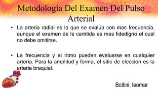 Metodología Del Examen Del Pulso
Arterial
• La arteria radial es la que se evalúa con mas frecuencia,
aunque el examen de la carótida es mas fidedigno el cual
no debe omitirse.
• La frecuencia y el ritmo pueden evaluarse en cualquier
arteria. Para la amplitud y forma, el sitio de elección es la
arteria braquial.
Bottini, leomar
 