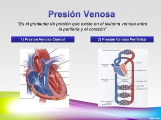 “Es el gradiente de presión que existe en el sistema venoso entre
la periferia y el corazón”
1) Presión Venosa Central

2) Presión Venosa Periférica

 