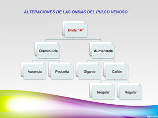 ALTERACIONES DE LAS ONDAS DEL PULSO VENOSO

 