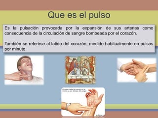 Que es el pulso
Es la pulsación provocada por la expansión de sus arterias como
consecuencia de la circulación de sangre bombeada por el corazón.
También se referirse al latido del corazón, medido habitualmente en pulsos
por minuto.