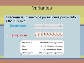 Variantes
Frecuencia: numero de pulsaciones por minuto.
60-100 x min.
Bradicardia
Taquicardia