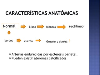Normal Lisas blandas rectilíneo
bordes cuerda Gruesor y dureza
Arterias endurecidas por esclerosis parietal.
Pueden existir ateromas calcificados.
 