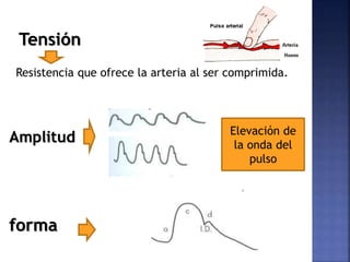 Tensión
Resistencia que ofrece la arteria al ser comprimida.
Amplitud Elevación de
la onda del
pulso
forma
 