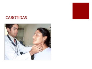 CAROTIDAS
 
