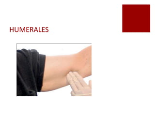 HUMERALES
 