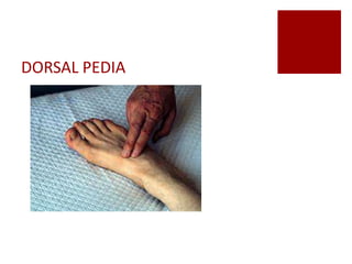 DORSAL PEDIA
 