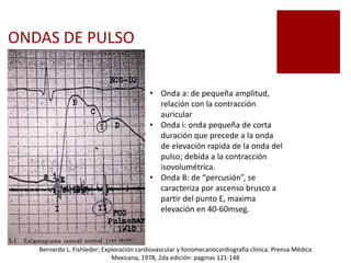 ONDAS DE PULSO
• Onda a: de pequeña amplitud,
relación con la contracción
auricular
• Onda i: onda pequeña de corta
duración que precede a la onda
de elevación rapida de la onda del
pulso; debida a la contracción
isovolumétrica.
• Onda B: de “percusión”, se
caracteriza por ascenso brusco a
partir del punto E, maxima
elevación en 40-60mseg.
Bernardo L. Fishleder; Exploración cardiovascular y fonomecanocardiografía clínica. Prensa Médica
Mexicana, 1978, 2da edición: paginas 121-148
 