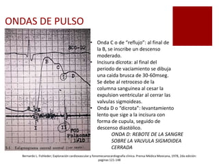 ONDAS DE PULSO
• Onda C o de “reflujo”: al final de
la B, se inscribe un descenso
moderado.
• Incisura dícrota: al final del
periodo de vaciamiento se dibuja
una caida brusca de 30-60mseg.
Se debe al retroceso de la
columna sanguinea al cesar la
expulsion ventricular al cerrar las
valvulas sigmoideas.
• Onda D o “dicrota”: levantamiento
lento que sige a la incisura con
forma de cupula, seguido de
descenso diastòlico.
ONDA D: REBOTE DE LA SANGRE
SOBRE LA VALVULA SIGMOIDEA
CERRADA
Bernardo L. Fishleder; Exploración cardiovascular y fonomecanocardiografía clínica. Prensa Médica Mexicana, 1978, 2da edición:
paginas 121-148
 