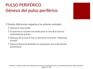 PULSO PERIFÉRICO
Génesis del pulso periférico
 Existen diferencias respecto a las arterias centrales:
 Ascenso E mas tardio.
 El ascenso se inscribe mas lento pero la cima B se alcanza
relativamente pronto.
 Despues de la cima B hay un descenso muy lento “depresión
dicrota”.
 Sobre el descenso diastolico se superpone una onda dicrota
prominente.
Bernardo L. Fishleder; Exploración cardiovascular y fonomecanocardiografía clínica. Prensa Médica Mexicana, 1978, 2da edición:
paginas 121-148
 