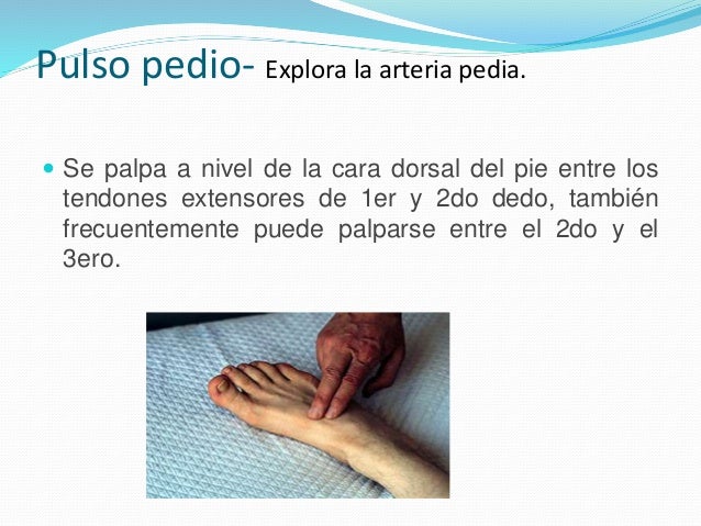 Pulso pedio- Explora la arteria pedia. 
 Se palpa a nivel de la cara dorsal del pie entre los 
tendones extensores de 1er...