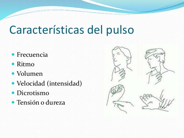 Características del pulso 
 Frecuencia 
 Ritmo 
 Volumen 
 Velocidad (intensidad) 
 Dicrotismo 
 Tensión o dureza 
 